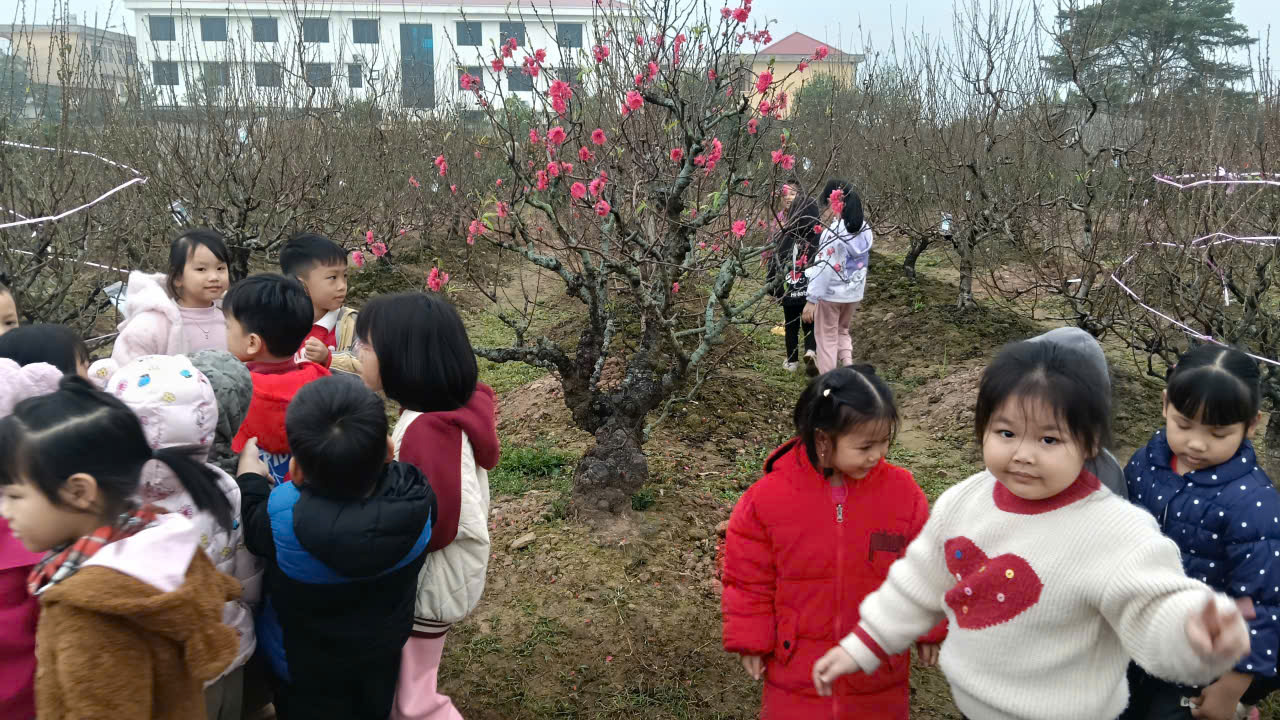 z7675190972536 21bf2d17875172eba5f68cebbeda420c