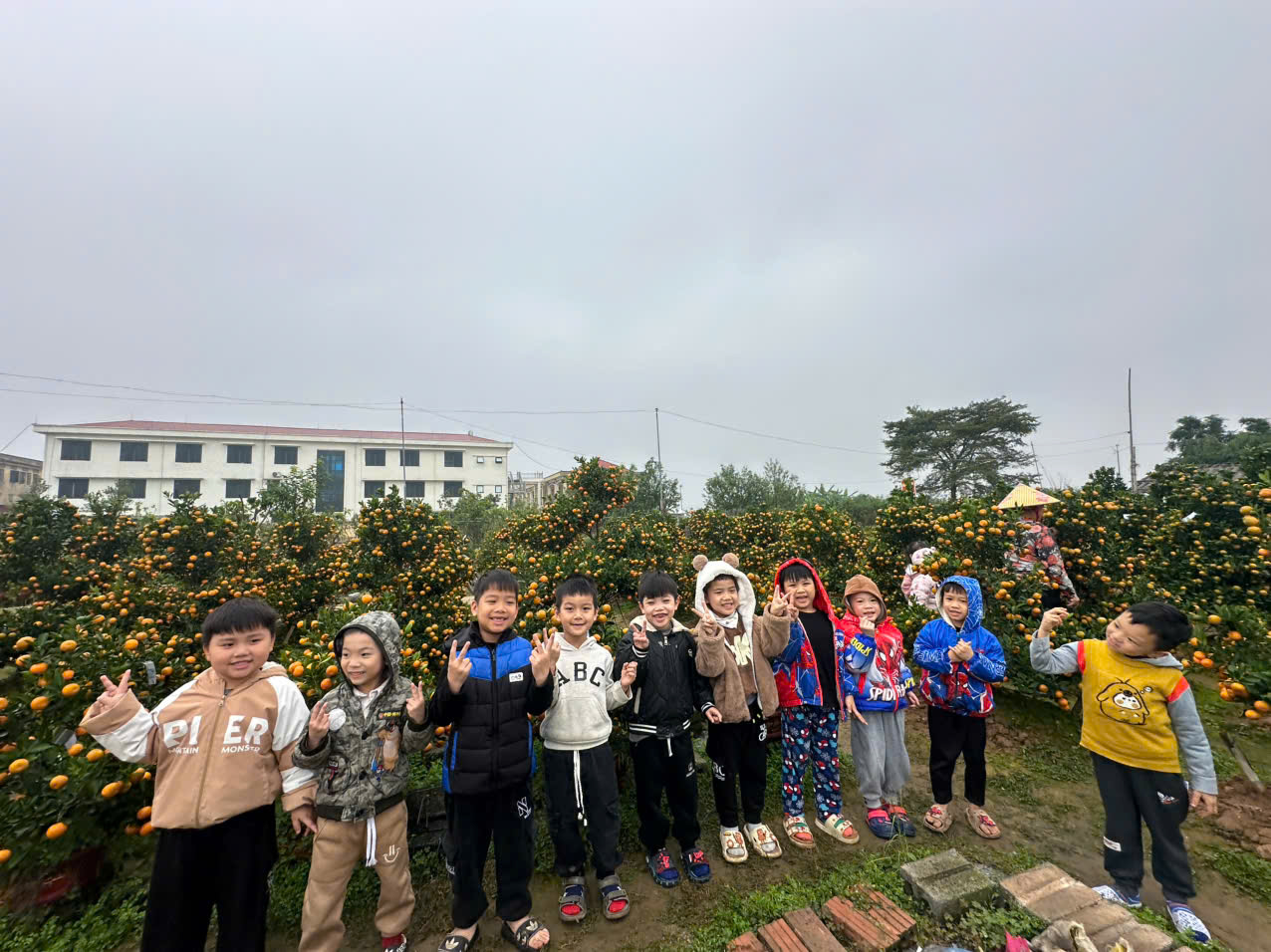 z7675191002628 6c5d3e5219662e870e9f78c0aec0d0de